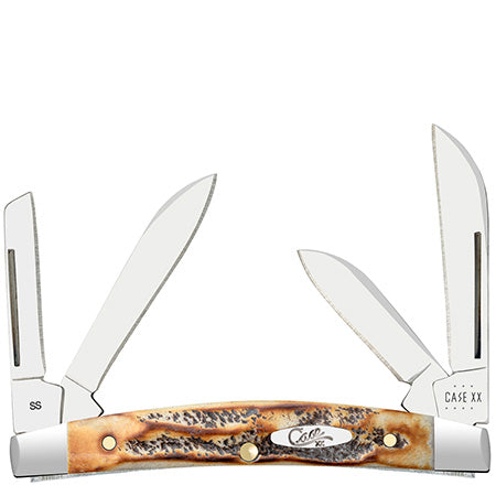 Case Knife 6.5 Bone Stag Small Congress 65337
