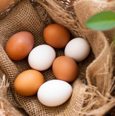 Fresh Eggs