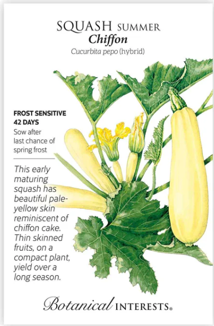 Summer Squash