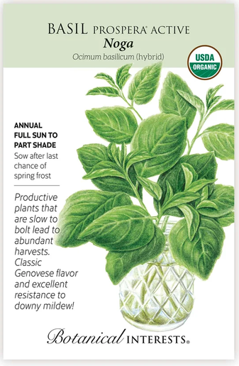 Noga Basil Seeds