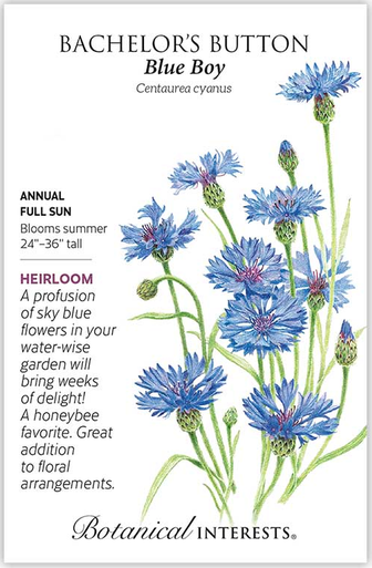 Blue Boy Bachelor's Button Seeds