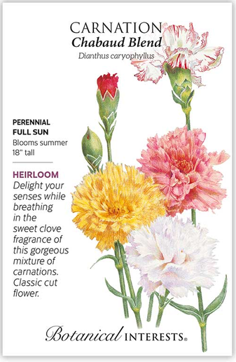 Chabaud Blend Carnation Seeds