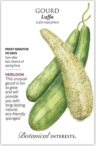 Luffa Gourd Seeds