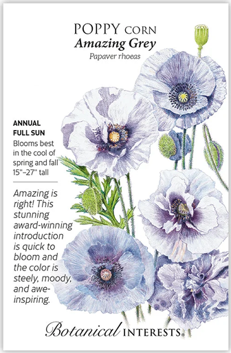 Amazing Grey Corn Poppy Seeds