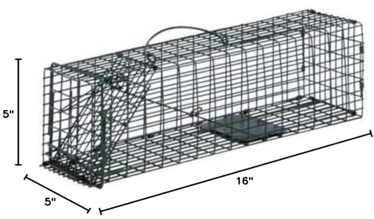 Duke Trap 16x5x5