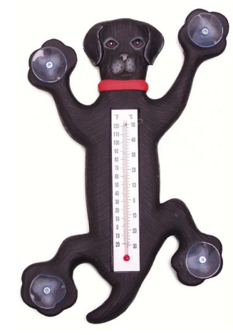 Dog Thermometer