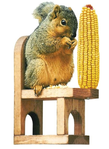 Squirrel Chair