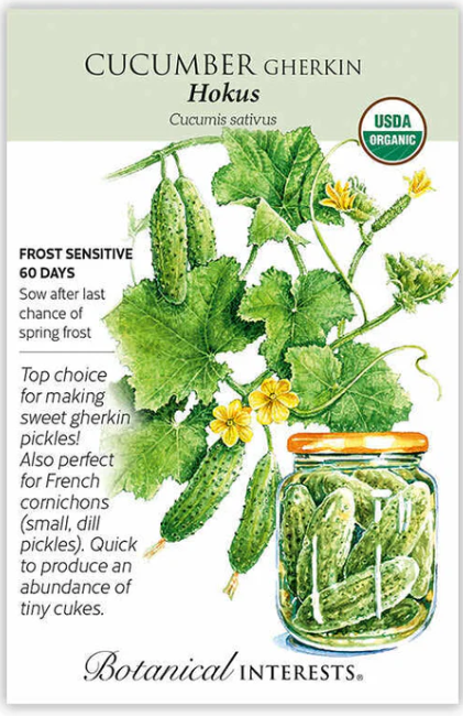 Gherkin Hokus Cucumber