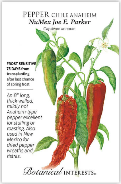 Anaheim Chile Pepper