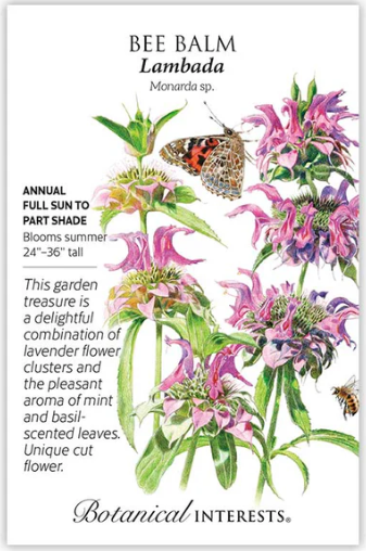 Bee Balm