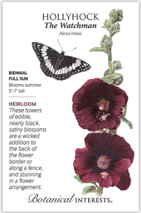 Watchman Hollyhock