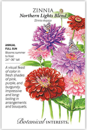 Northern Lights Blend Zinnia