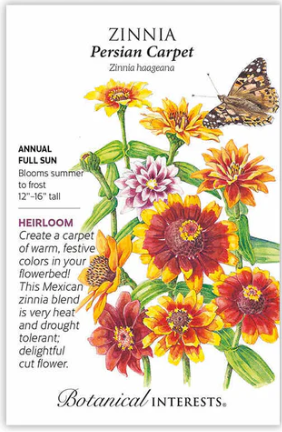 Persian Carpet Zinnia