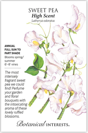 High Scent Sweet Pea