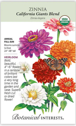 California Giants Blend Zinnia large