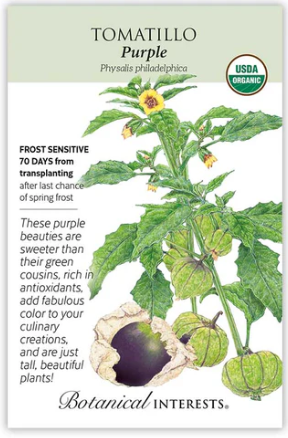Purple Tomatillo