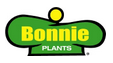 Bonnie Sweet Potato