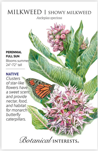 Showy Milkweed/Butterfly Flower