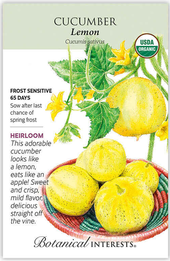Lemon Cucumber