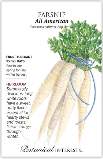 Parsnip