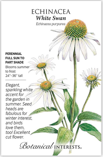 White Swan Echinacea Seeds
