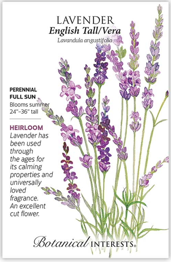 English Tall/Vera Lavender Seeds