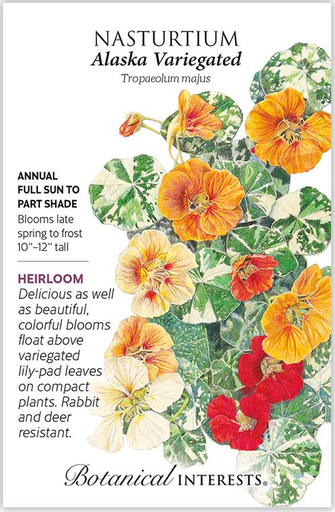 Alaska Variegated Nasturtium Seeds