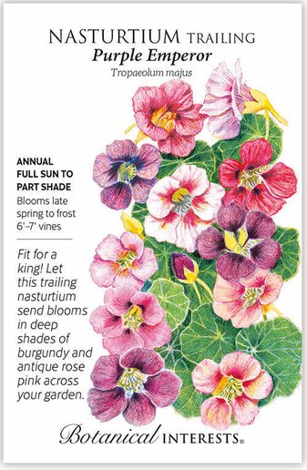 Purple Emperor Trailing Nasturtium Seeds