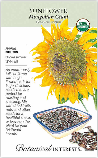 Mongolian Giant Sunflower Seeds