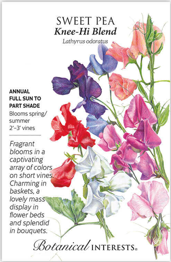Knee-Hi Blend Sweet Pea Seeds