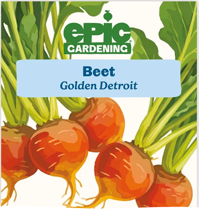 Detroit Golden Beet Seeds