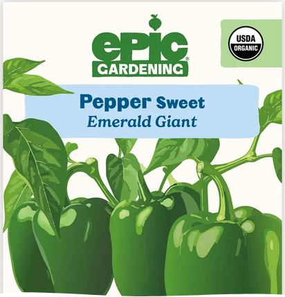 Emerald Giant Sweet Pepper