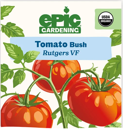 Rutgers VF Bush Tomato