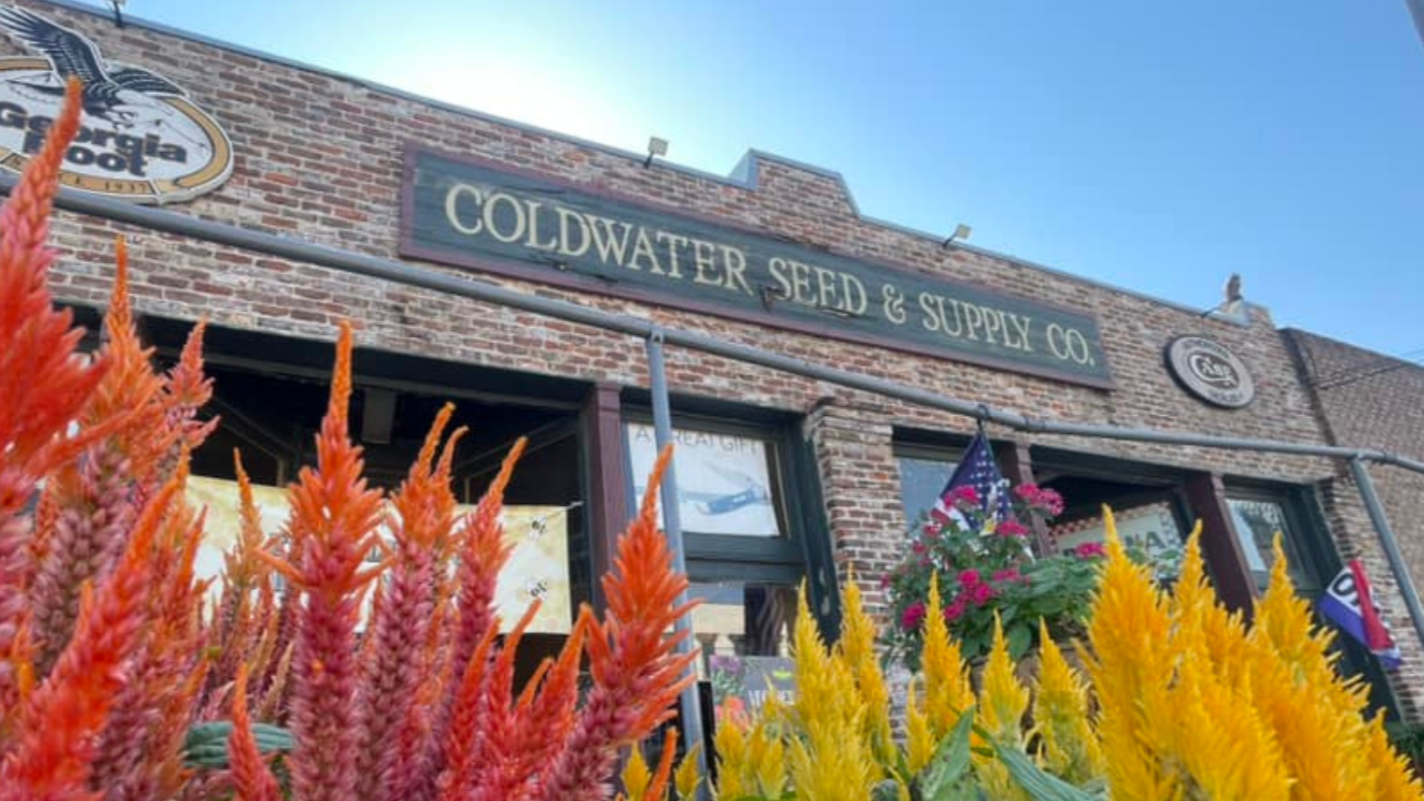 Brick building with 'Coldwater Seed & Supply Co' sign, colorful flowers in foreground