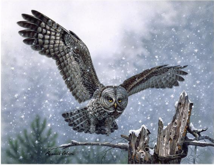 Snowy Landing Puzzle